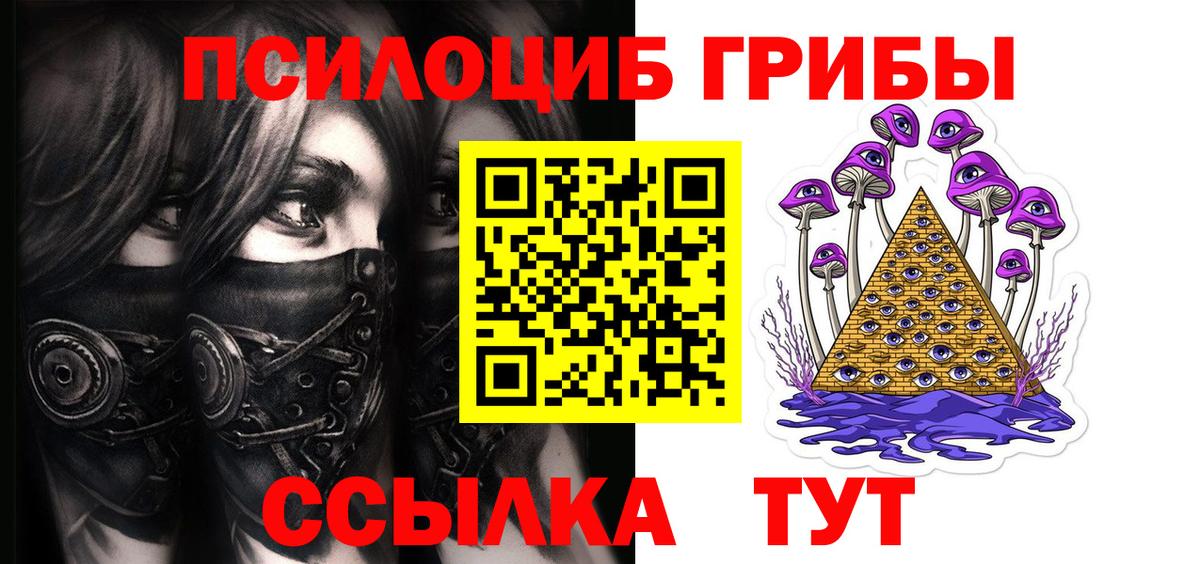 Псилоцибиновые грибы Psilocybe  Вход с VPN  купить наркотики сайты  Псилоцибиновые грибы Cubensis  Новокубанск 